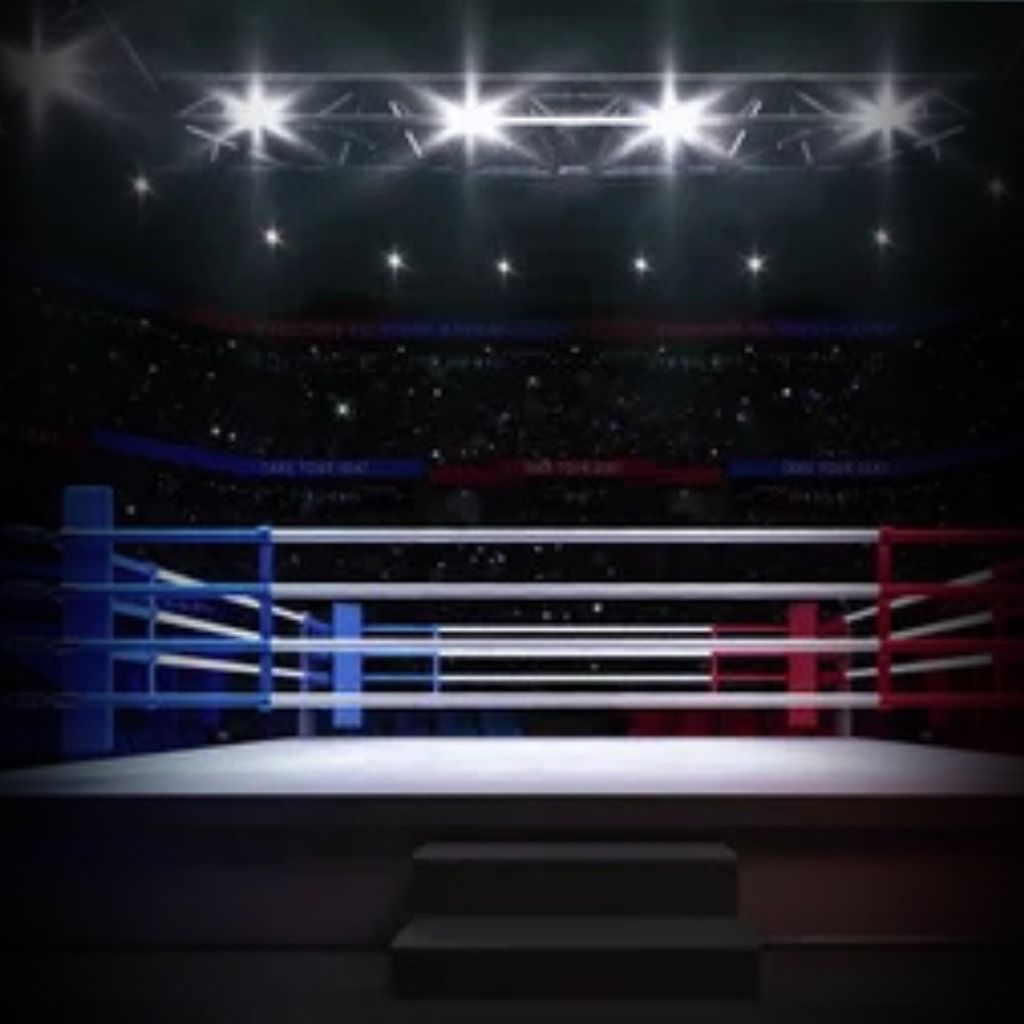 Official Boxing Ring